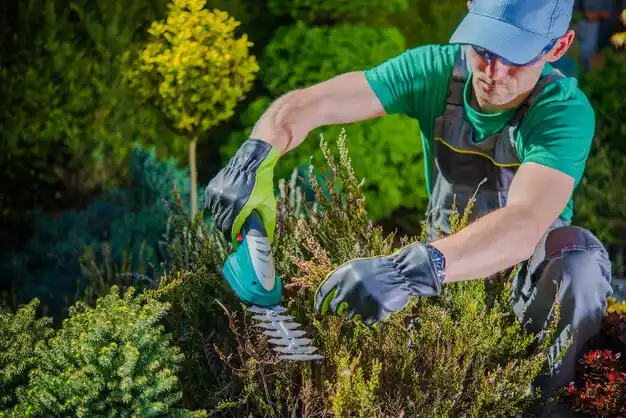 landscaping services South Windham